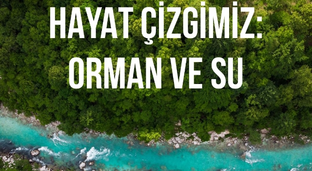 Hayat çizgimiz: Orman ve Su