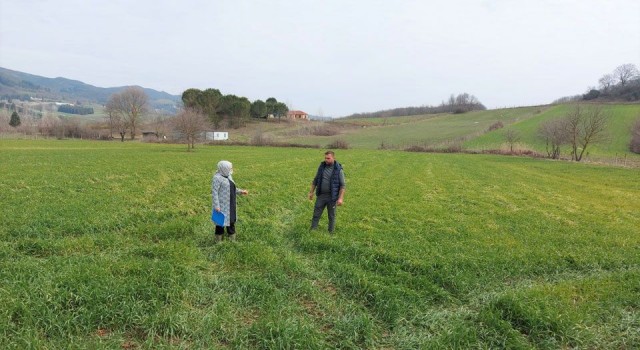 Kocaeli’de tıbbi ve aromatik bitki yetiştiriciliğine yoğun ilgi