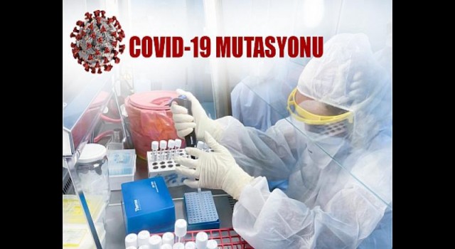 KKTC’de SARS-CoV-2’nin Güney Afrika ve Brezilya Varyantları Yok