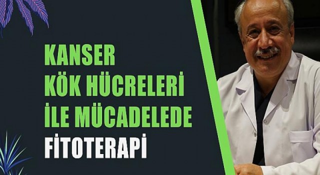 Kanser kök hücreleri ile mücadele fitoterapi