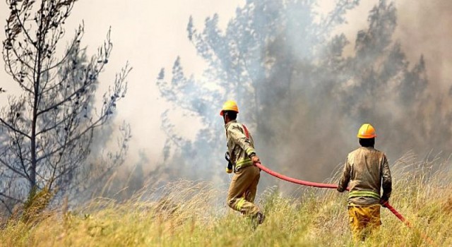 Orman yangınlarıyla mücadelesinde OGM’ye ödül