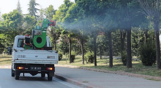 Dantel böceği artışı iklim değişikliğine bağlı