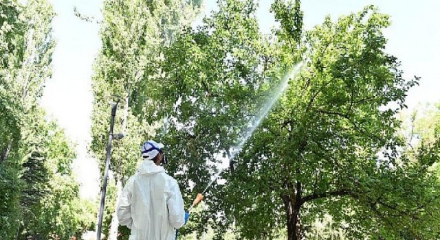 Başkent’te vektörle etkin mücadele devam ediyor