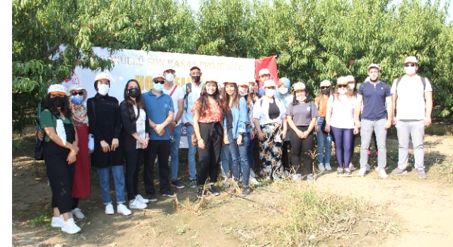 Dalındaki şeftaliyi hasat edip ihtiyaç sahiplerine yolladılar