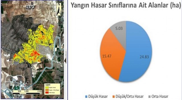 Harran Üniversitesi’nden Orman Yangınları ile İlgili Önemli Rapor