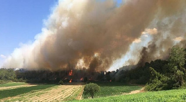 Manavgat ve Burdur Bucak’ta orman yangını