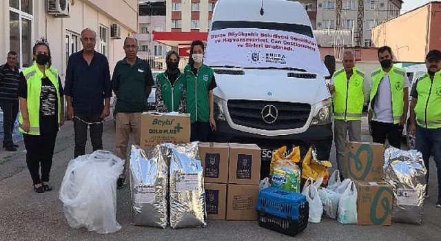 Yangın bölgesindeki can dostları unutulmadı