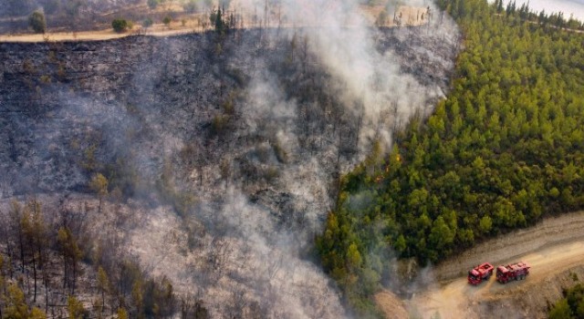 Yenilebilir Enerji ile Sürdürülebilir Bir Gelecek!