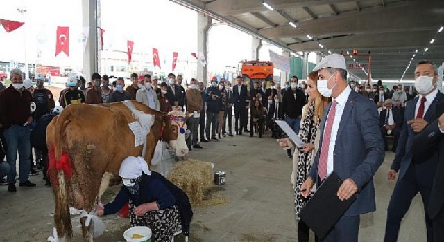 Gölbaşı Belediyesi; AGROTEC Tarım Fuarı’nda Süt Sağma Yarışması..