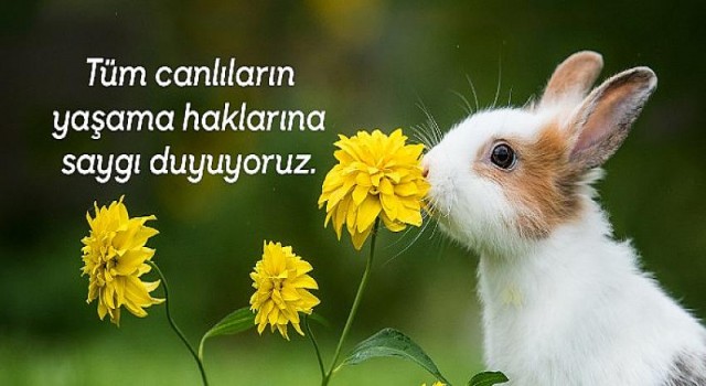 Uzmanlar uyarıyor: “Vegan Beslenenlerde Düzenli Besin Takviyesi Kullanımı Büyük Önem Taşıyor”