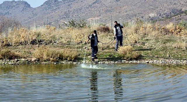 Aliağa Belediyesi Vektörle Mücadelesini Sürdürüyor