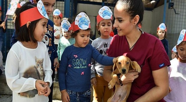 İzmir’de sokak hayvanları için büyük işbirliği