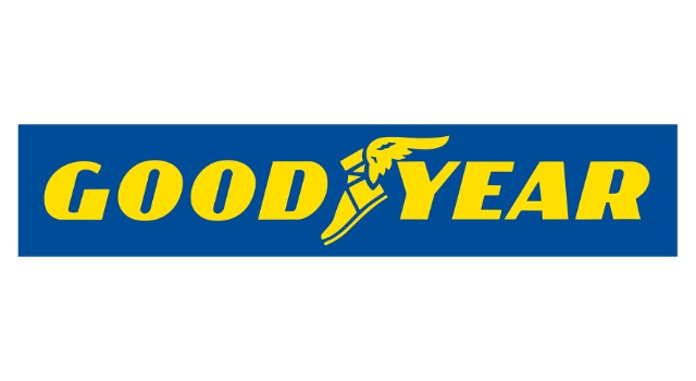 Kışın yolculuğun keyfini Goodyear ile sürün