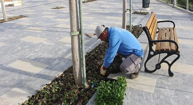 Manavgat Türkbeleni’nde kış hazırlığı