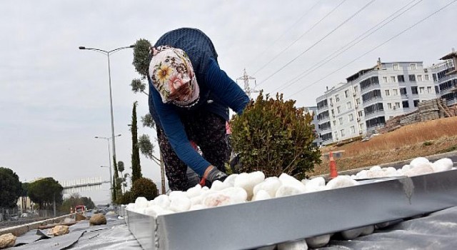 Necmettin Giritlioğlu Caddesi Peyzaj Çalışmalarıyla Taçlandı