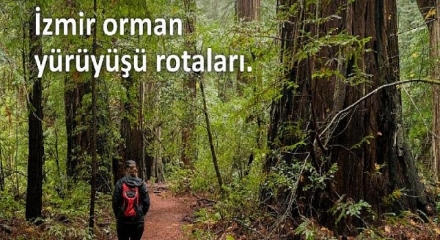 TTI Outdoor’la ‘Doğadaki yerini keşfet!’