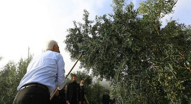 Büyükşehir ‘Tarlanıza Geliyoruz’ projesi ile Üreticilere Kazandırmaya Devam Ediyor