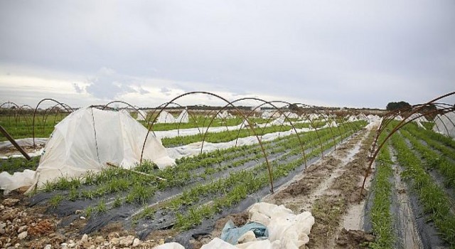 Büyükşehir zor gününde üreticinin yanında