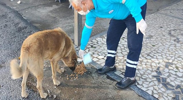 Can Dostlarımız Unutulmuyor