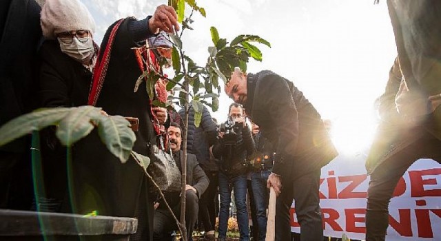 İkizdere’den kurtarılan fidanlar İzmir’de Turuncu Bahçe’ye dikildi