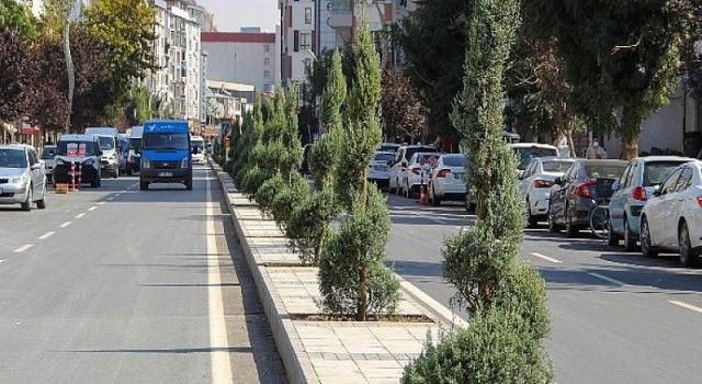 Sıhke Caddesi’nin Çehresi Değişti