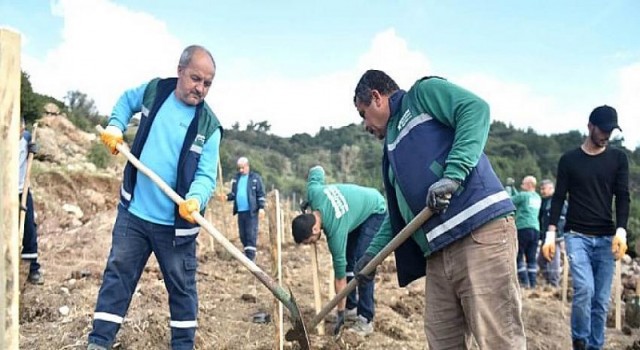 Bornova’ya yeni Misket Üzümü Bağı