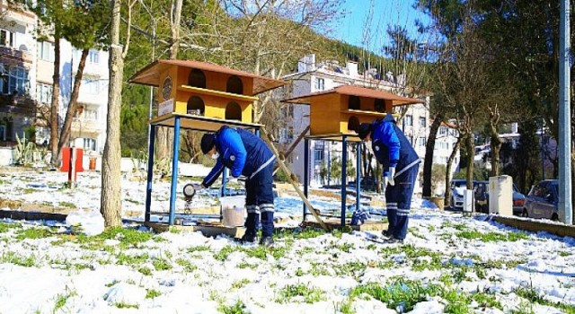 Büyükşehir’den can dostlara mama takviyesi