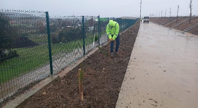 Demirciler Köyü Mezarlığı ağaçlandırıldı