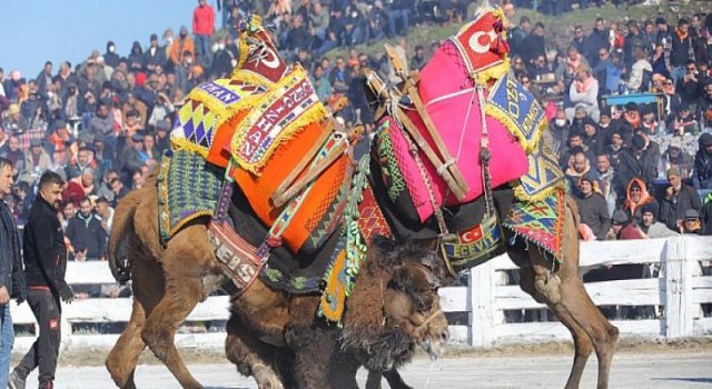 Efes Selçuk’ta 40 Yılın Güreşine Yoğun İlgi