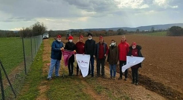 Anahtar teslim meyve bahçesi dönemi