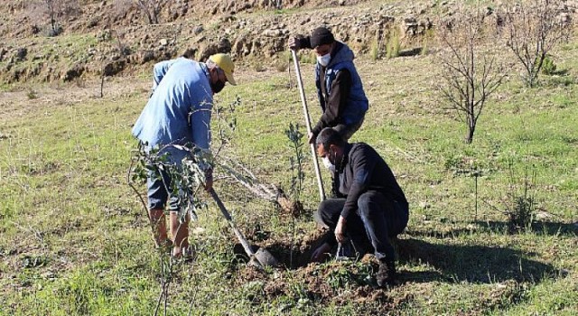 Antalya Büyükşehir Belediyesi’nden fidan desteği