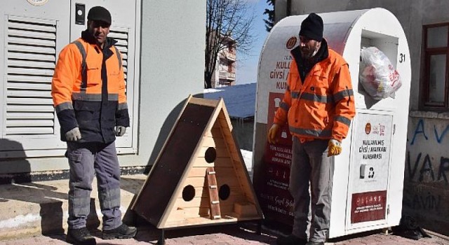 Bilecik Belediyesi Sokak Hayvanlarına Sahip Çıkmaya Devam Ediyor!