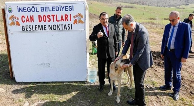 Can Dostları İçin Yeni Beslenme Noktaları Oluşturuluyor