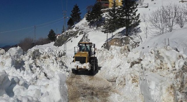 Alanya, Gündoğmuş ve İbradı yoğun kar mücadelesi