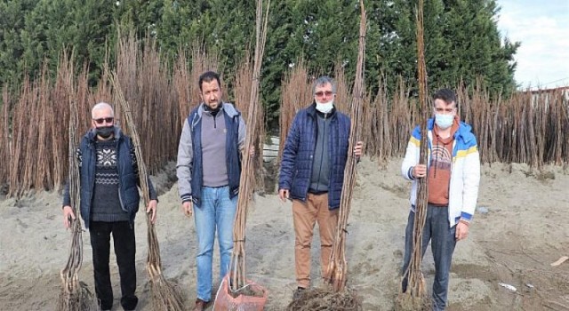 Büyükşehir’in, yüzde 50 hibeli fidan dağıtımı cuma günü sona erecek