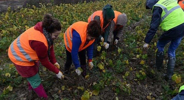 OGM’den kadın üreticilere 8.5 milyon TL destek