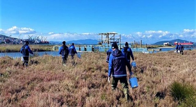 Büyükşehir’den Milas’ta Vektörle Mücadele