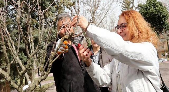 Çankayalı Bahçıvanlar Uygulama Alanında