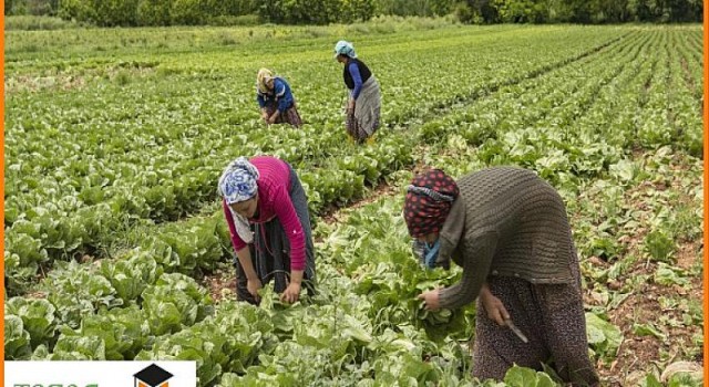 Migros Kadın Akademesi’nde Eğitim Alan Kadın Kooperatiflerinin Ürünleri Tazedirekt’te