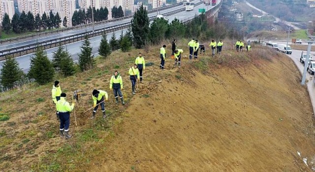 Şehir Hastanesi yolunda çevre düzenlemesi