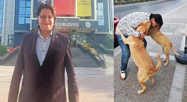 AK Partili İnce’den sokak köpekleri çıkışı