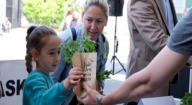 Nilüfer Belediyesi 400 bin fide dağıtacak