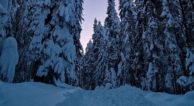 En canlı gece fotoğrafları için 7 ipucu!