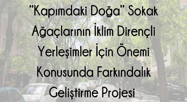 Sokak Ağaçları İçin El Ele “Kapımdaki Doğa Projesi”