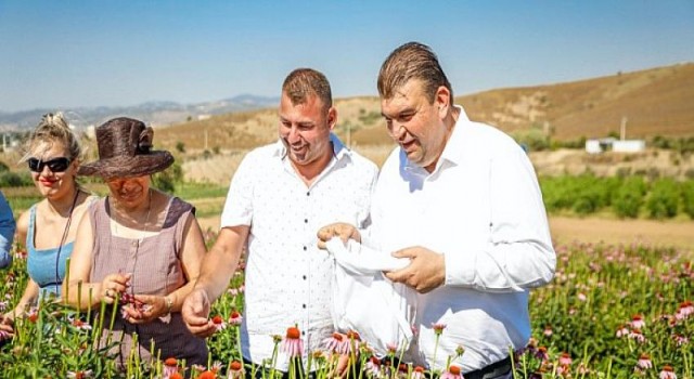 Mis kokulu şenlikte 2 hasat birden!