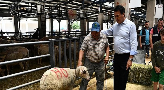 Türkiye’nin En Modern Kurban Pazarında Hareketli Günler