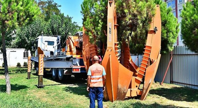 Ağaçlar taşınarak koruma altına alınıyor