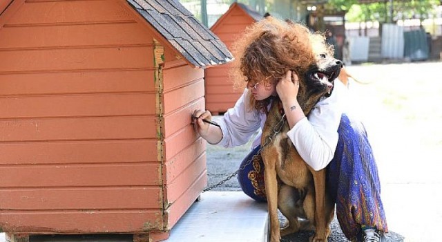 Dünya hayvanları koruma günü Kadıköy’de kutlanacak