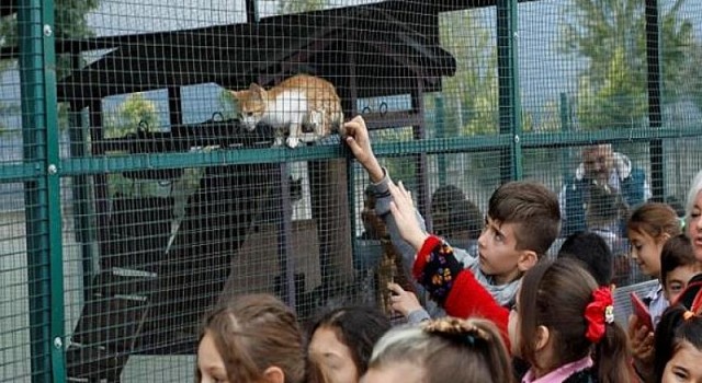 İnegöl Belediyesi Barınağı Can Dostlarına Şifa Oluyor