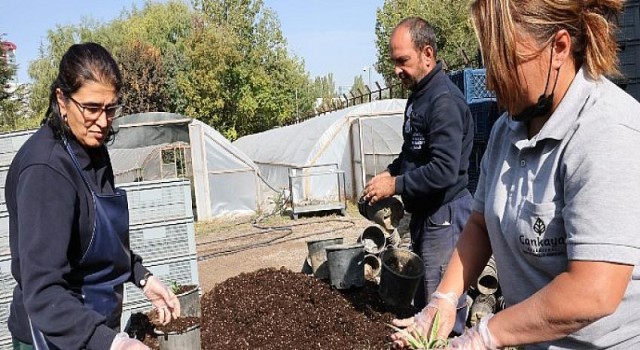 Seralarda Kışlık Üretim Başladı